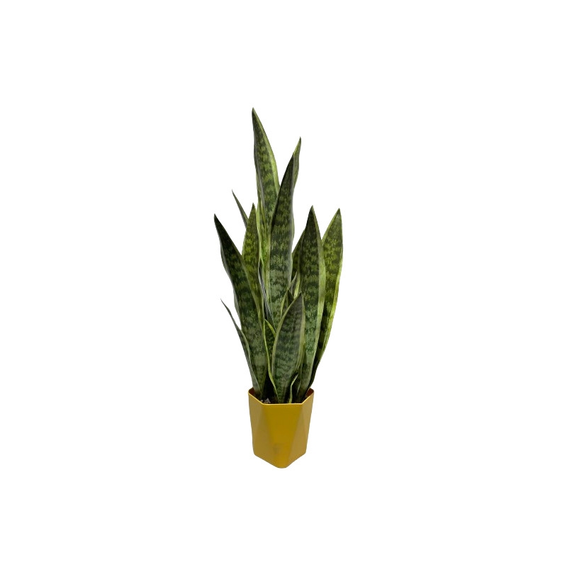 Artificial snake plant bonsai