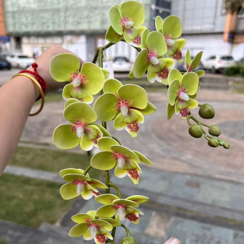 Two branches of artificial butterfly orchids