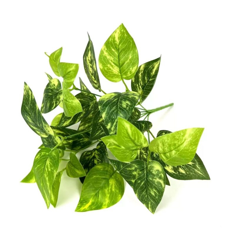 Artificial aglaonema, pothos leaves, sweet potato leaves