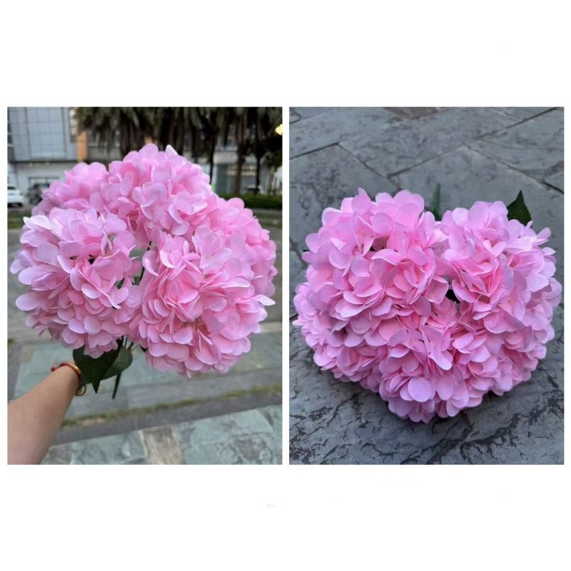 Hydrangea with 5 flower heads