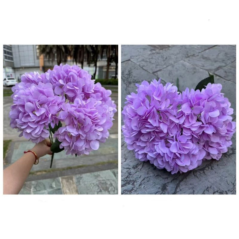 Hydrangea with 5 flower heads