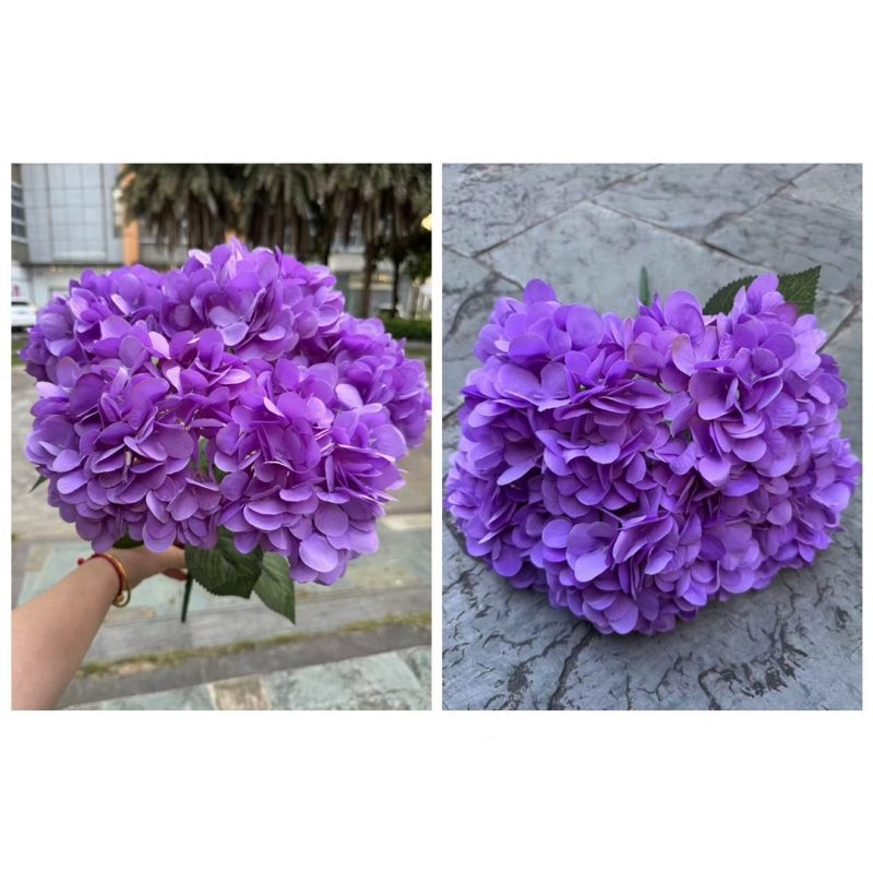 Hydrangea with 5 flower heads