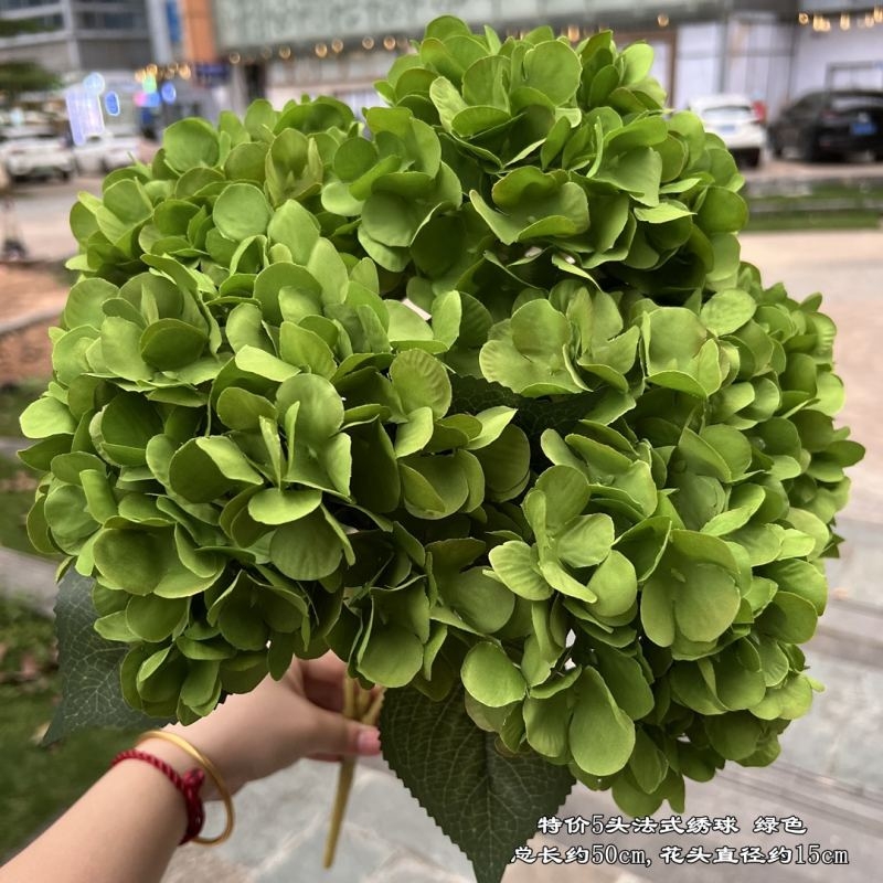 Hydrangea with 5 flower heads wholesale