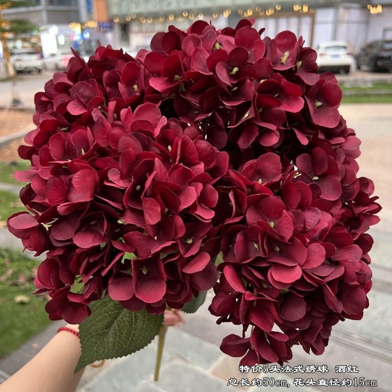Hydrangea with 5 flower heads wholesale
