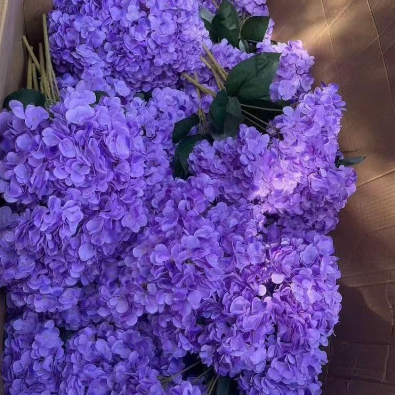 Hydrangea with 5 flower heads wholesale