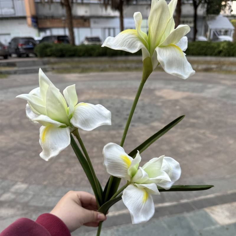 PU simulates a three-headed iris