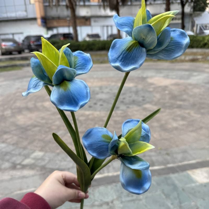 PU simulates a three-headed iris
