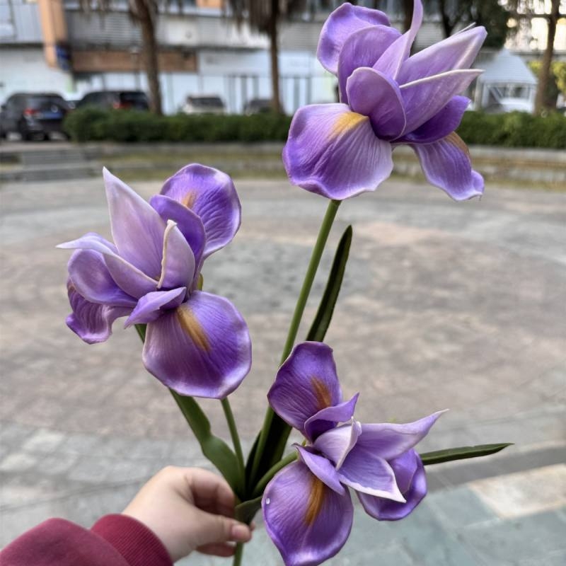 PU simulates a three-headed iris