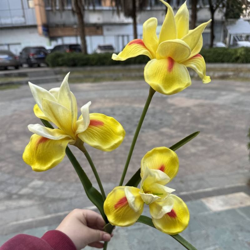 PU simulates a three-headed iris