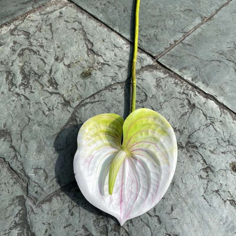 Artificial Laceleaf