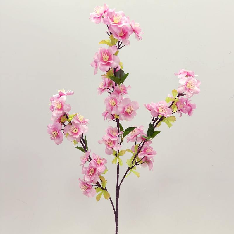 Cherry blossom with three branches