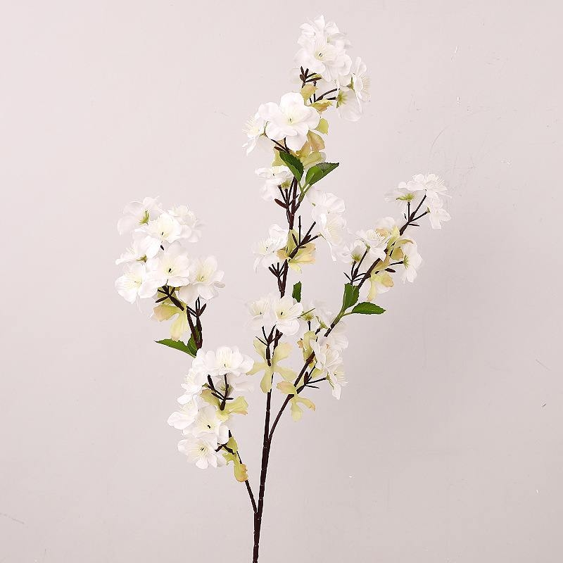 Cherry blossom with three branches