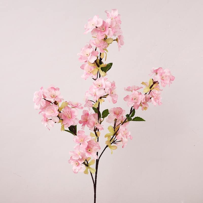 Cherry blossom with three branches
