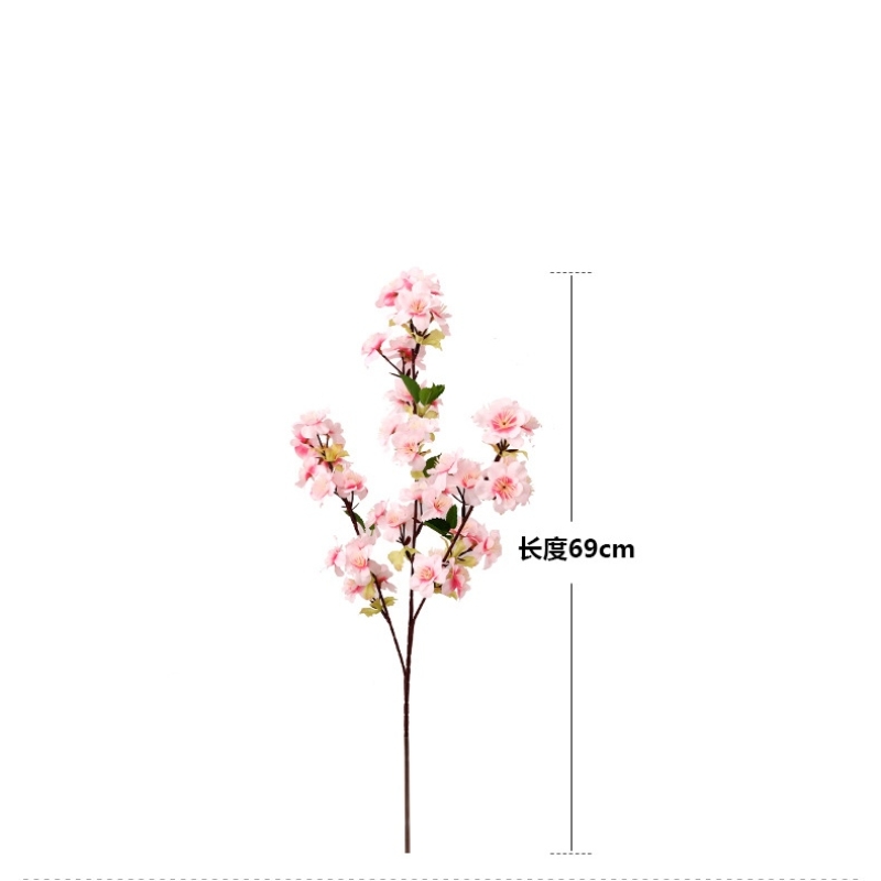 Cherry blossom with three branches