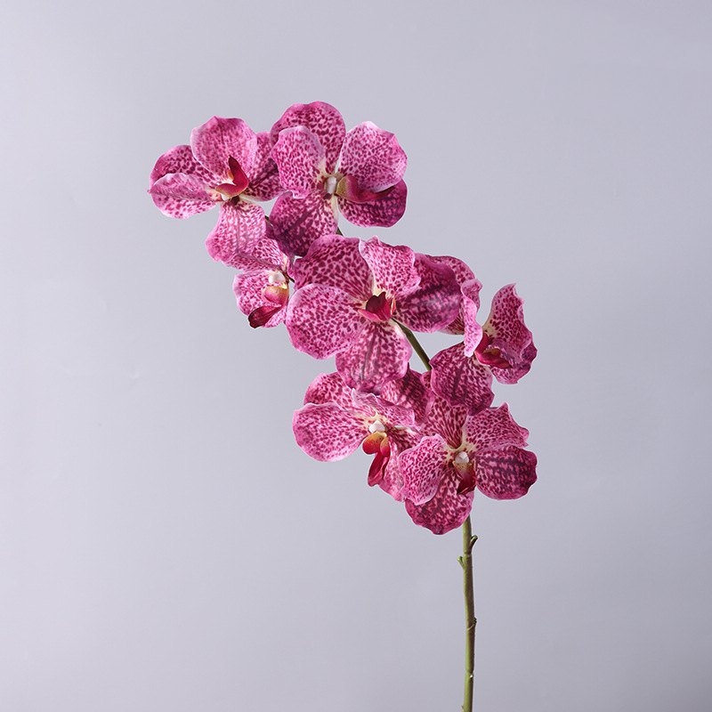 Touch-sensitive moisturizing simulated orchid