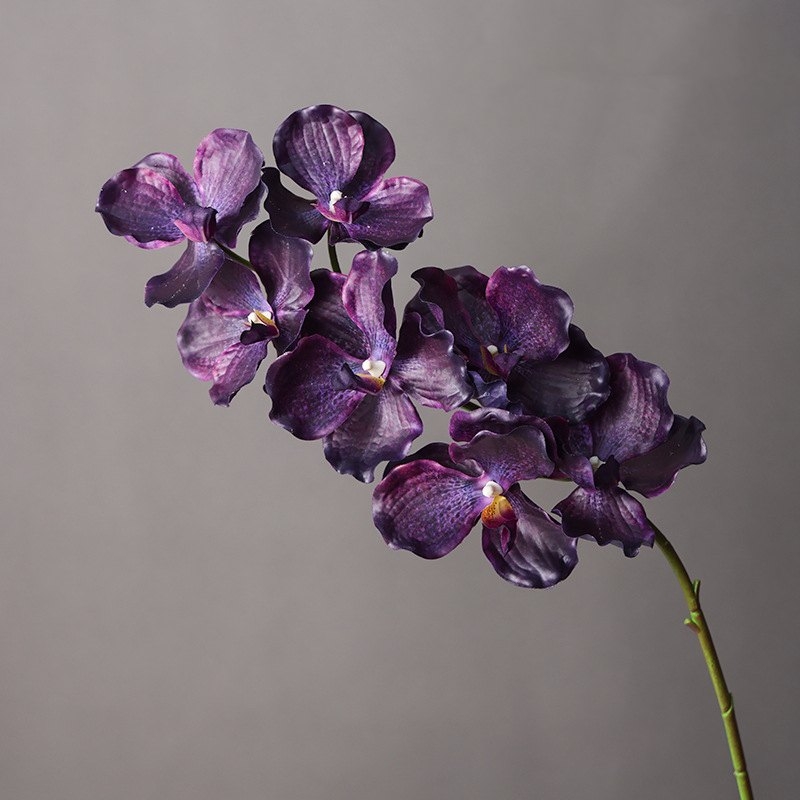 Touch-sensitive moisturizing simulated orchid