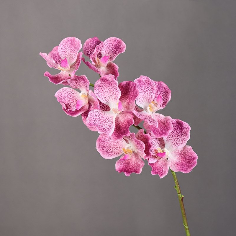 Touch-sensitive moisturizing simulated orchid