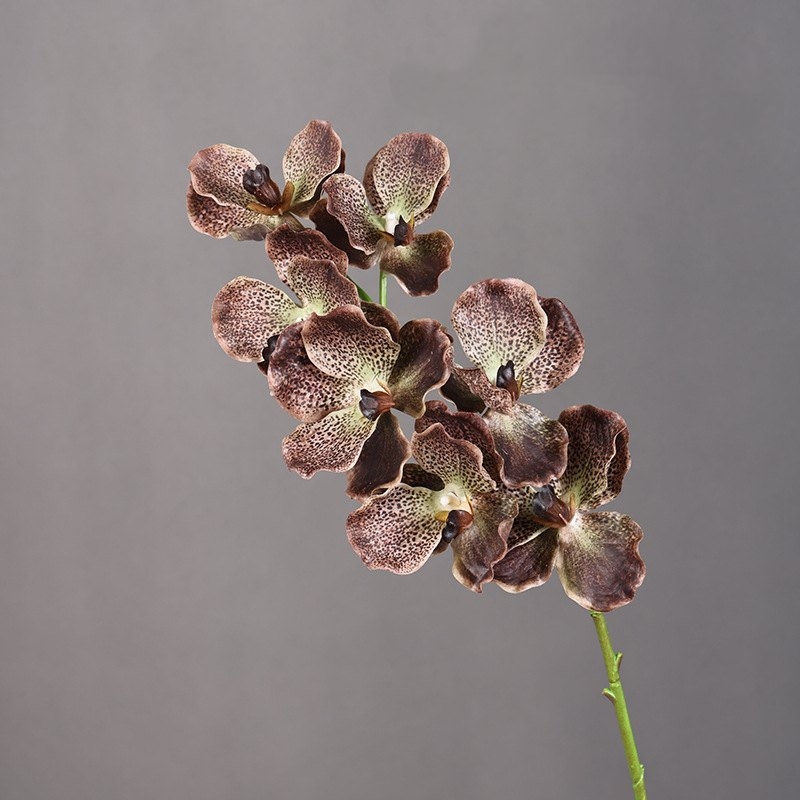 Touch-sensitive moisturizing simulated orchid