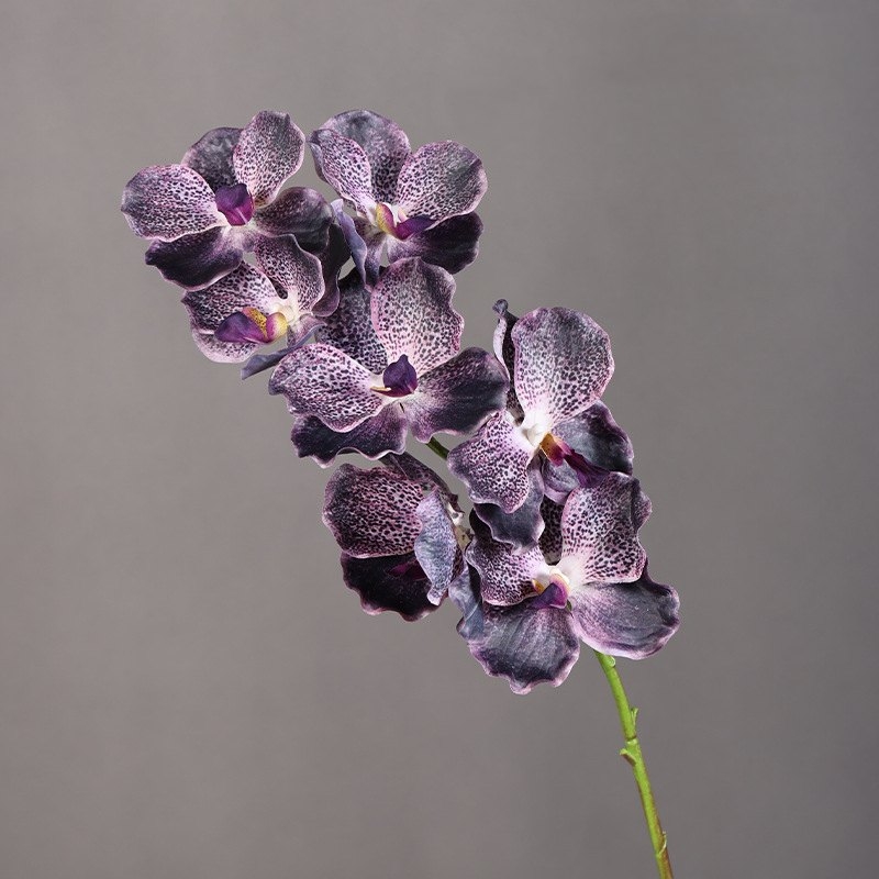 Touch-sensitive moisturizing simulated orchid