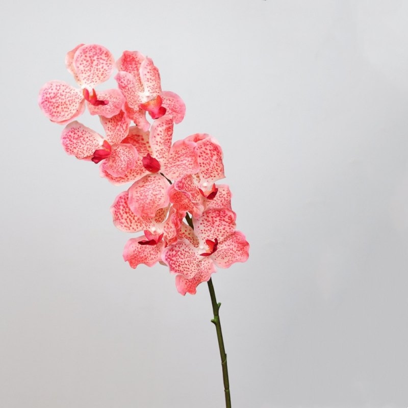Touch-sensitive moisturizing simulated orchid