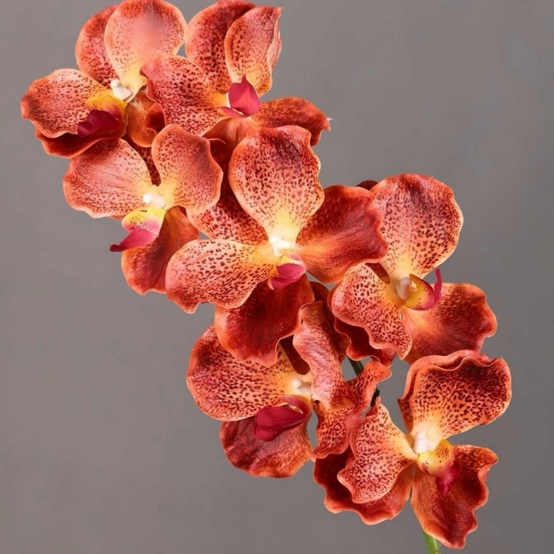 Touch-sensitive moisturizing simulated orchid