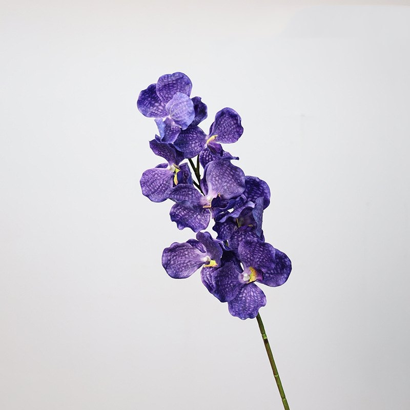 Touch-sensitive moisturizing simulated orchid