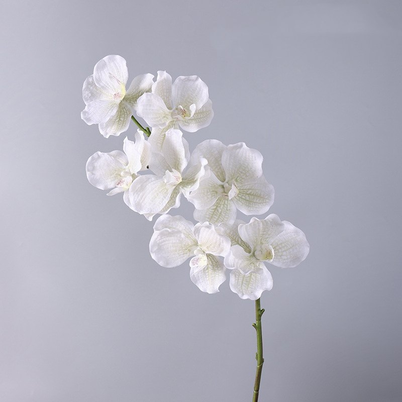 Touch-sensitive moisturizing simulated orchid