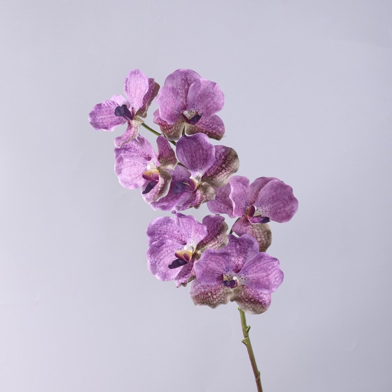 Touch-sensitive moisturizing simulated orchid