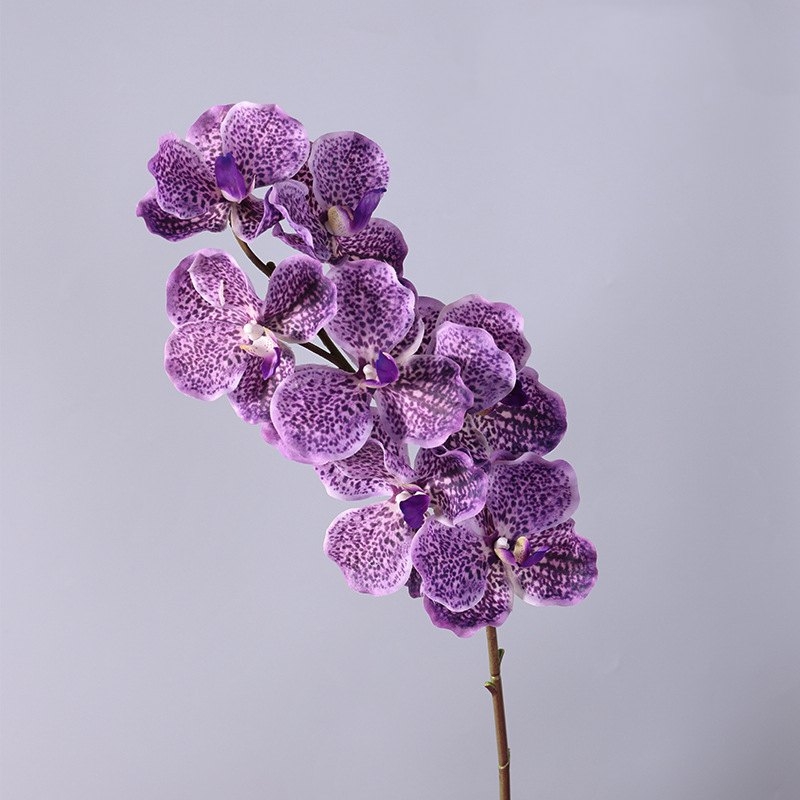 Touch-sensitive moisturizing simulated orchid