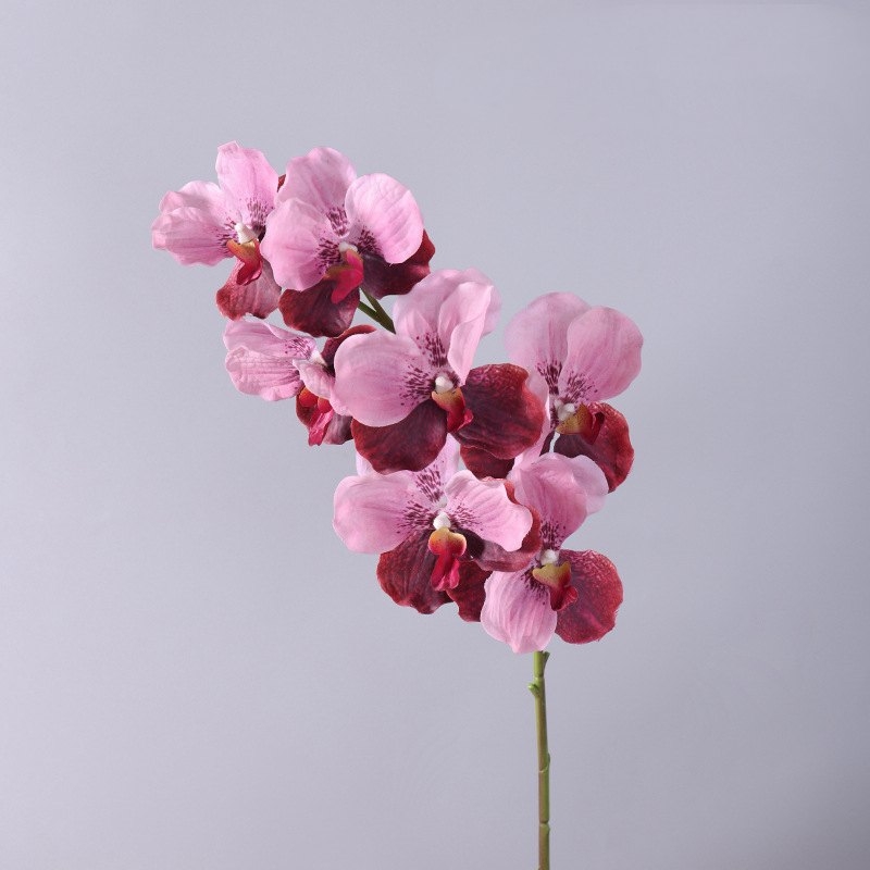 Touch-sensitive moisturizing simulated orchid