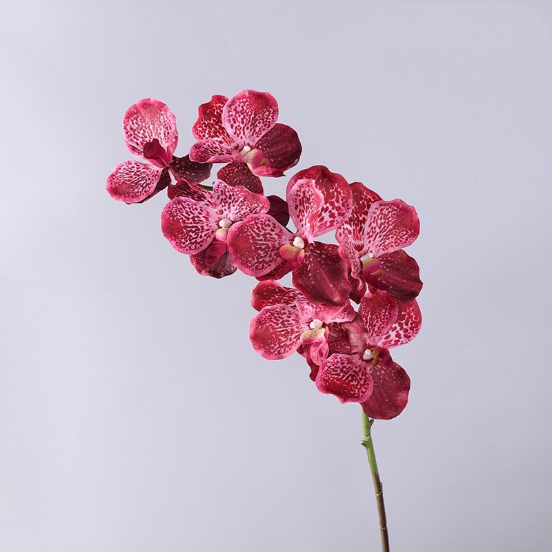 Touch-sensitive moisturizing simulated orchid