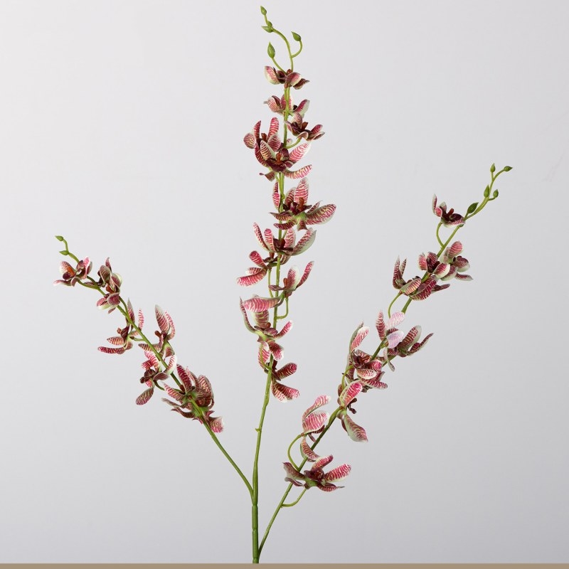 Simulated Vanda orchid