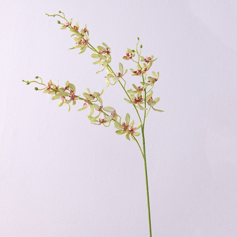 Simulated Vanda orchid