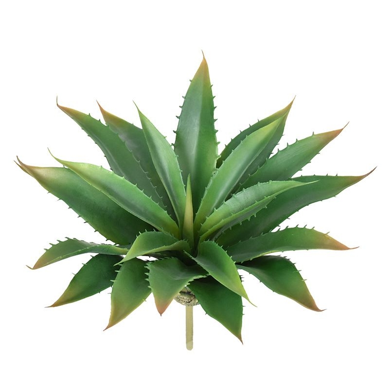 Simulated Aloe Vera