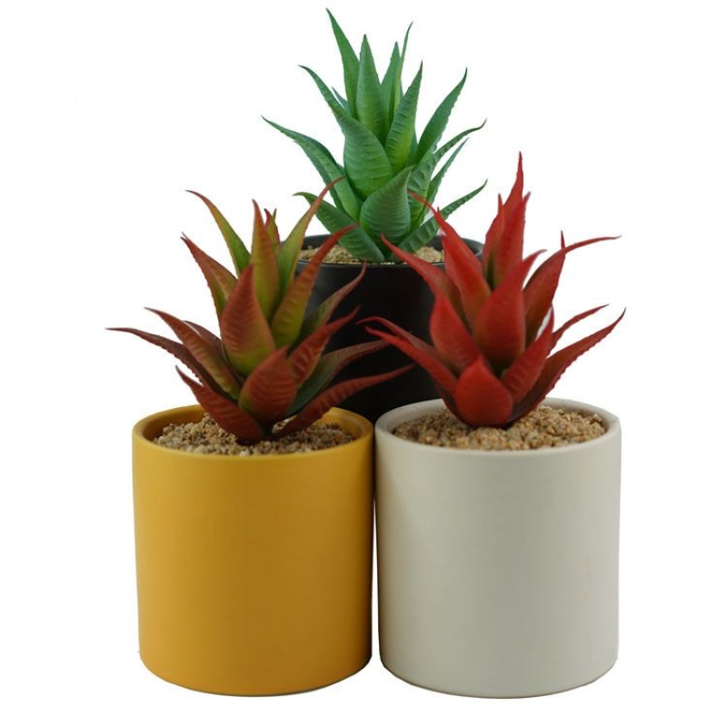 Artificial Aloe