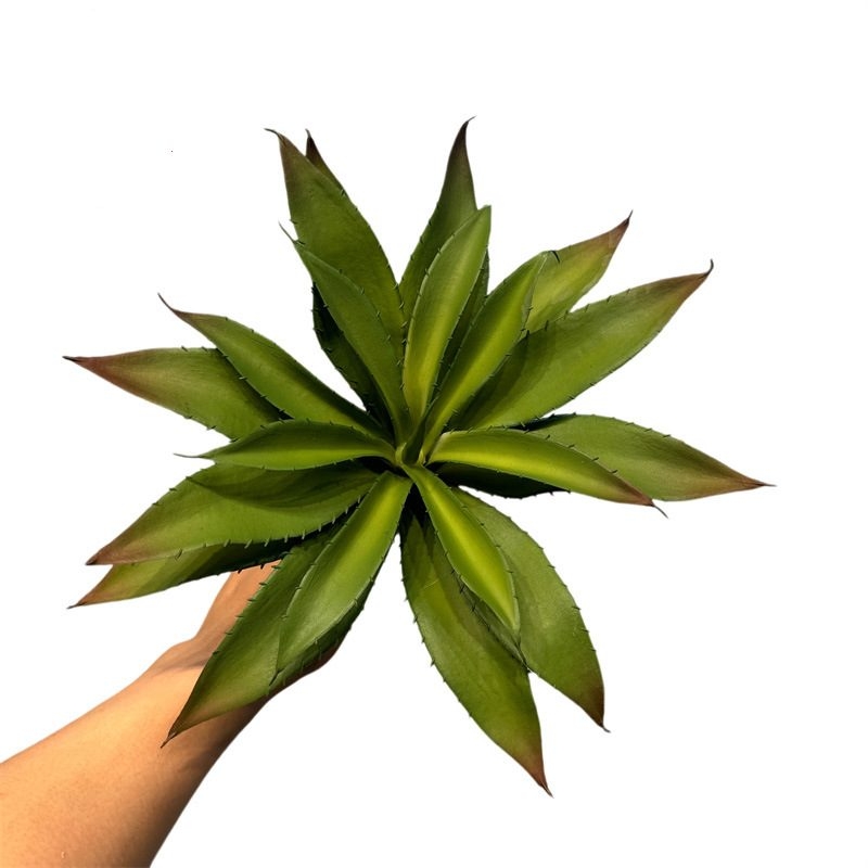 Artificial succulent plant aloe vera