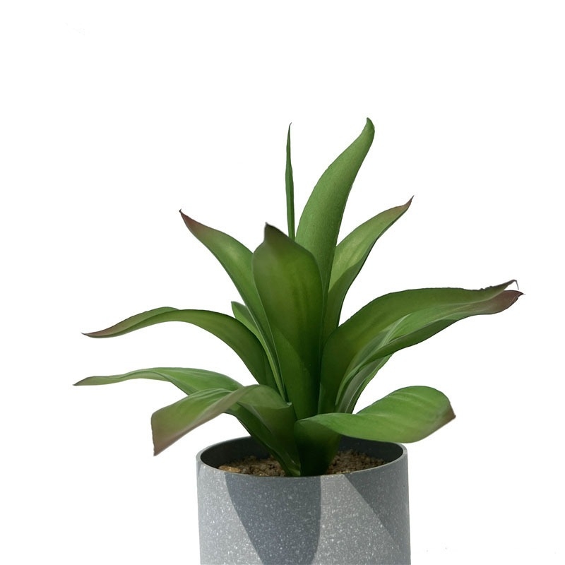 Artificial Agave