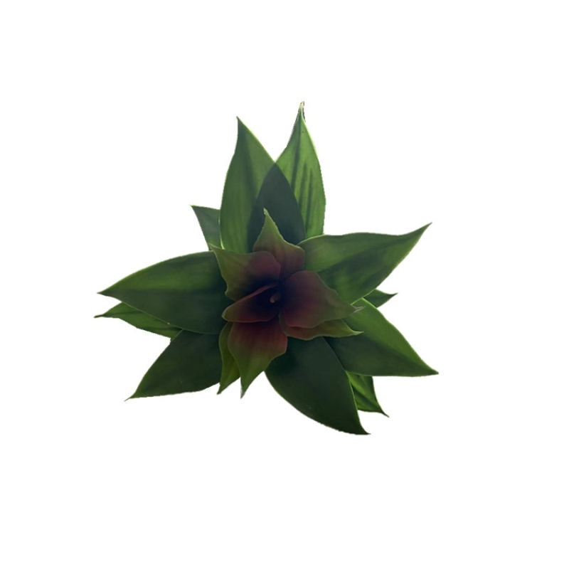 Simulated Agave