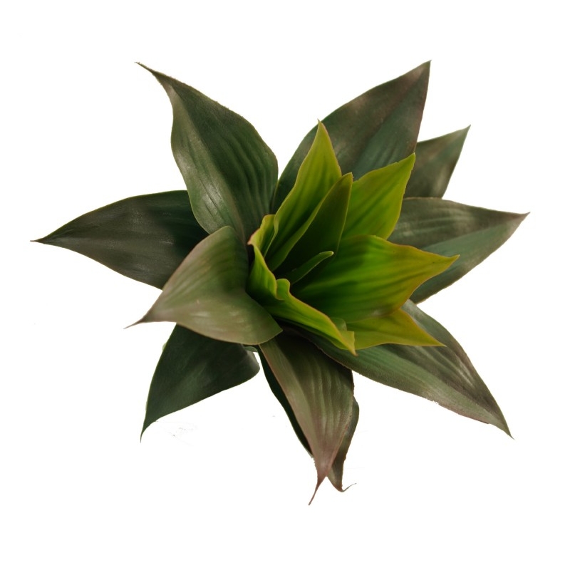 Simulated Agave