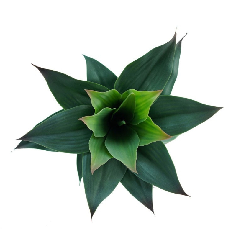 Simulated Agave
