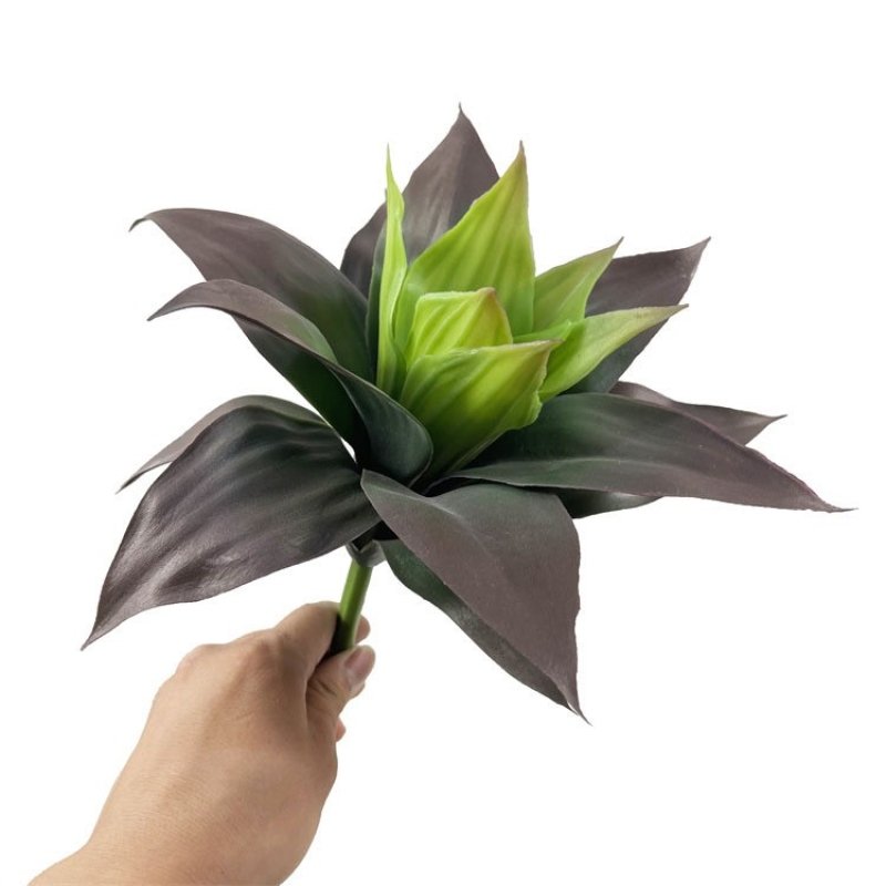 Simulated Agave