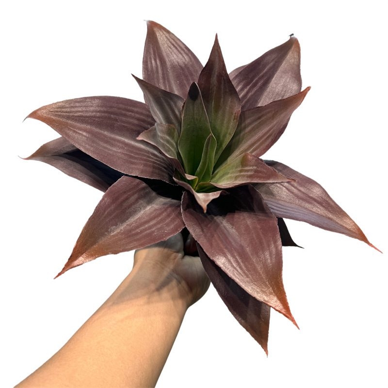 Simulated Agave