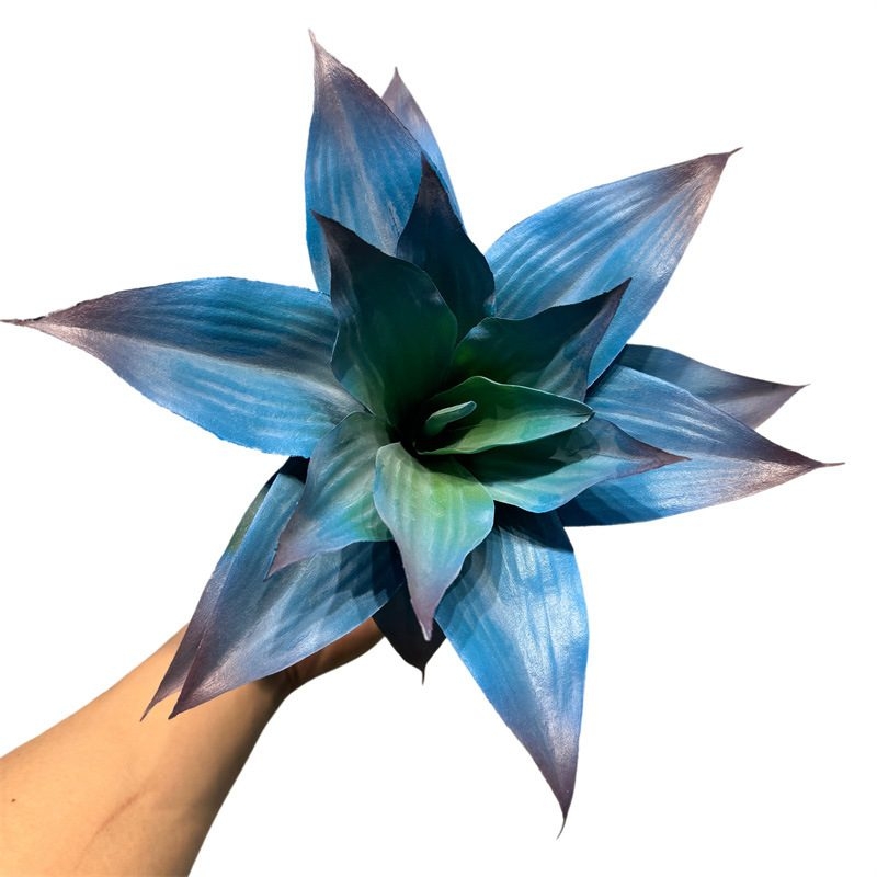 Simulated Agave