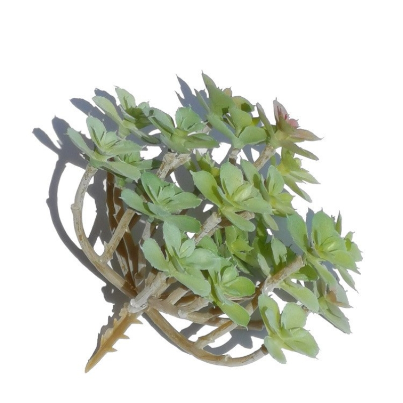 Artificial Succulent Plant Thin Makeup