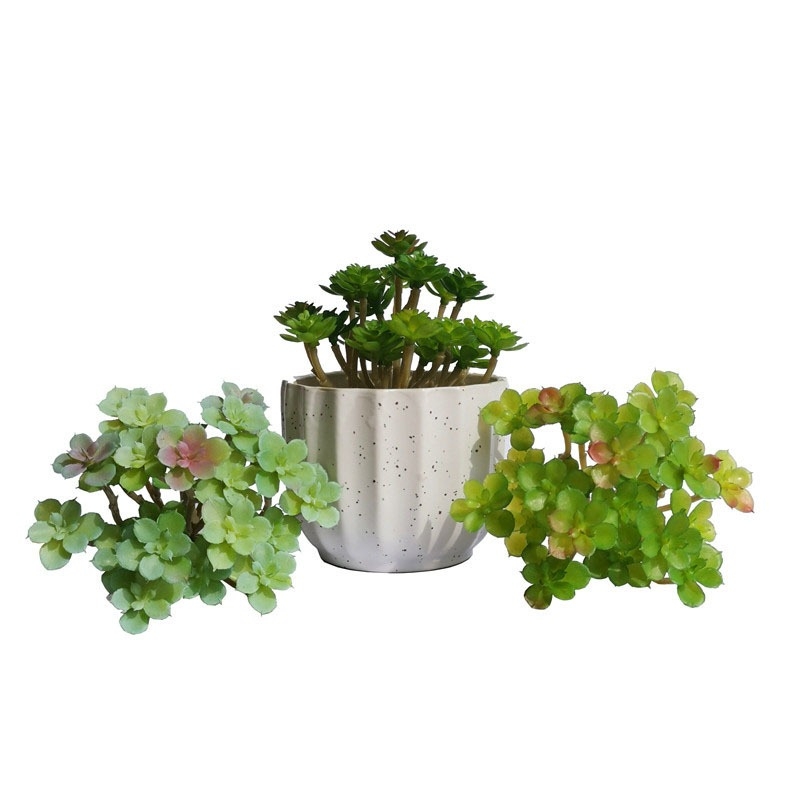 Artificial Succulent Plant Thin Makeup