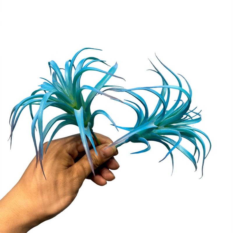 Artificial Tillandsia Brachycaulos