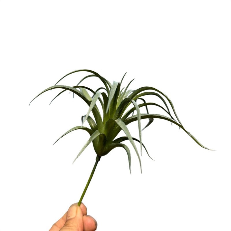 Artificial Tillandsia Brachycaulos