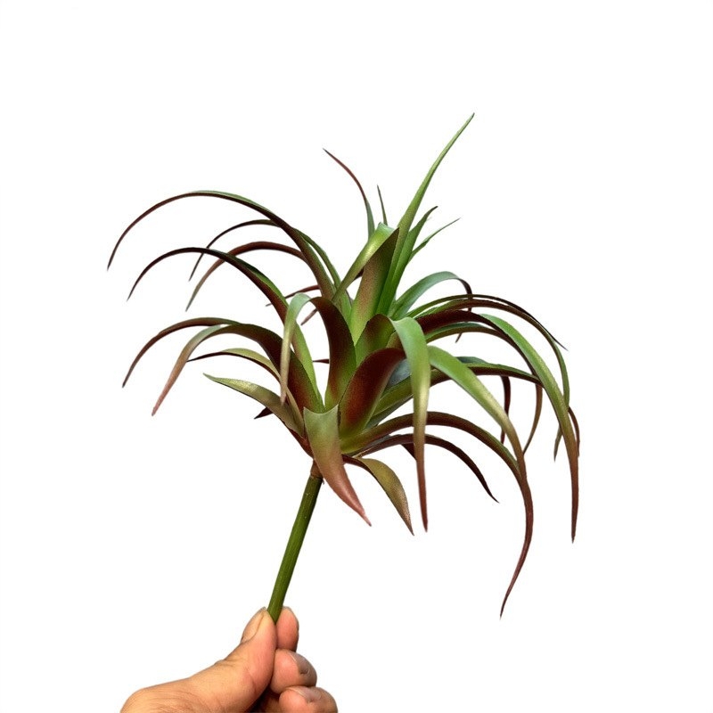 Artificial Tillandsia Brachycaulos Wholesale