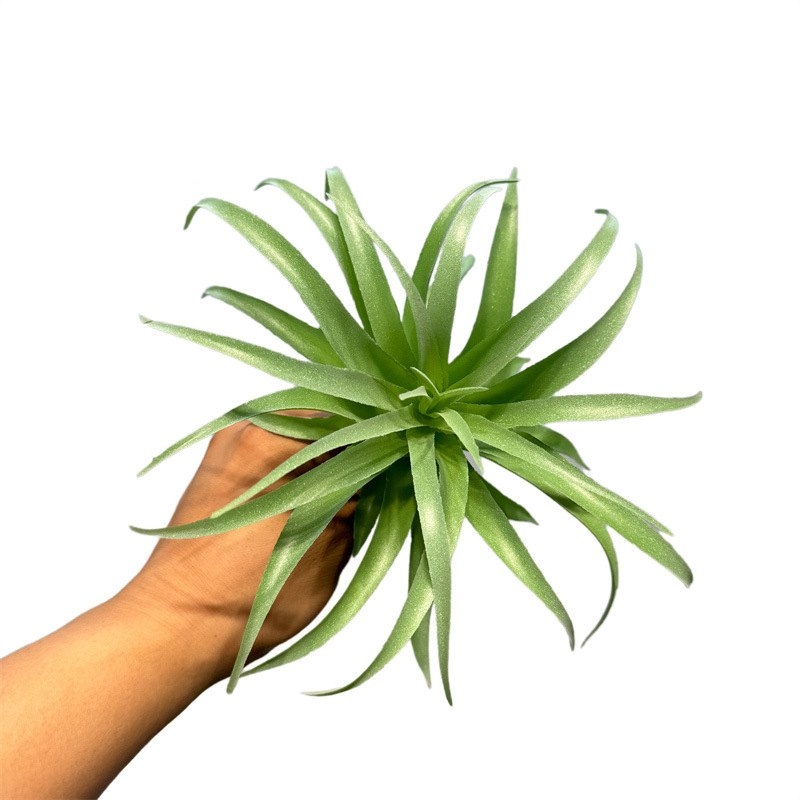 Artificial Tillandsia Brachycaulos Wholesale