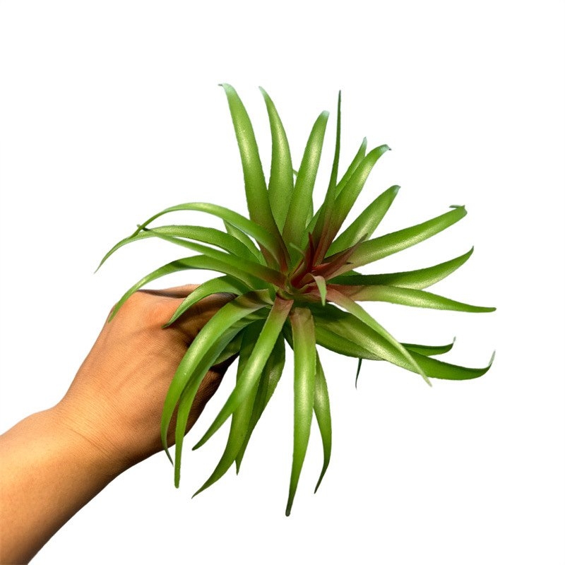 Artificial Tillandsia Brachycaulos Wholesale